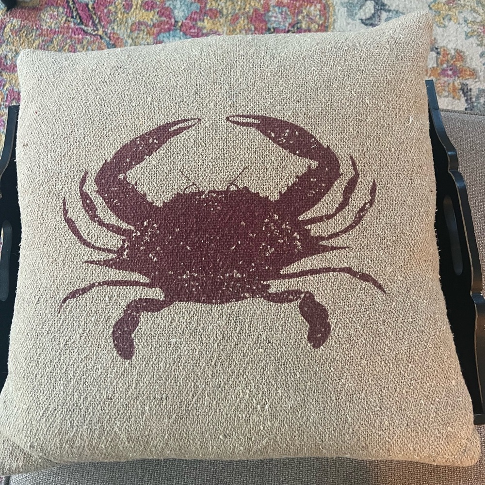 Two pillow covers approximately 20 x 20